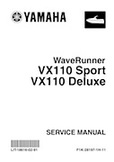 DIY SERVICE VX110 SPORT