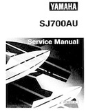 waverunner service manual download